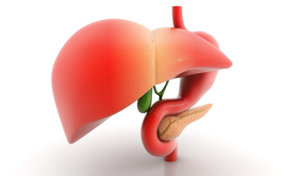 6 Triệu chứng thường gặp nhất khi gan bị nhiễm độc