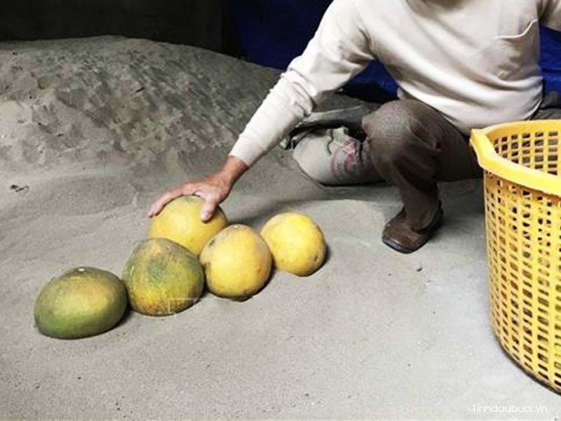 cach bao quan buoi lau ngay