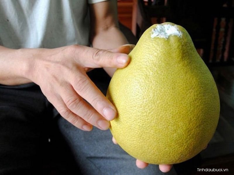 cach bao quan buoi lau ngay