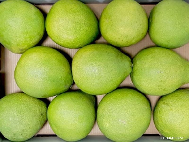 cach bao quan buoi lau ngay