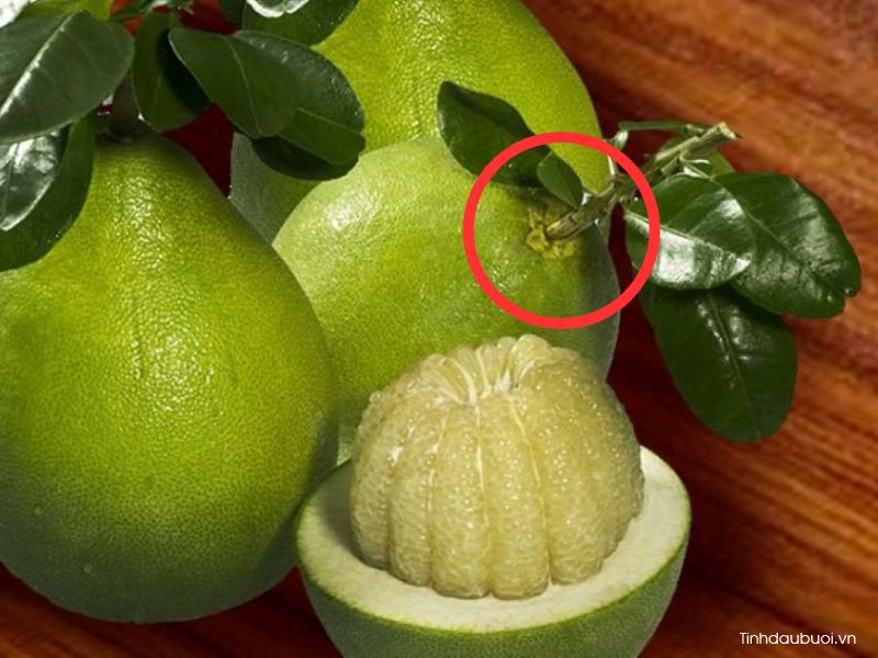 cach chon buoi nam roi ngon