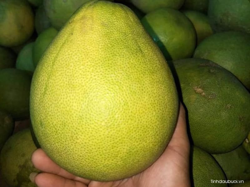 cach chon buoi nam roi ngon