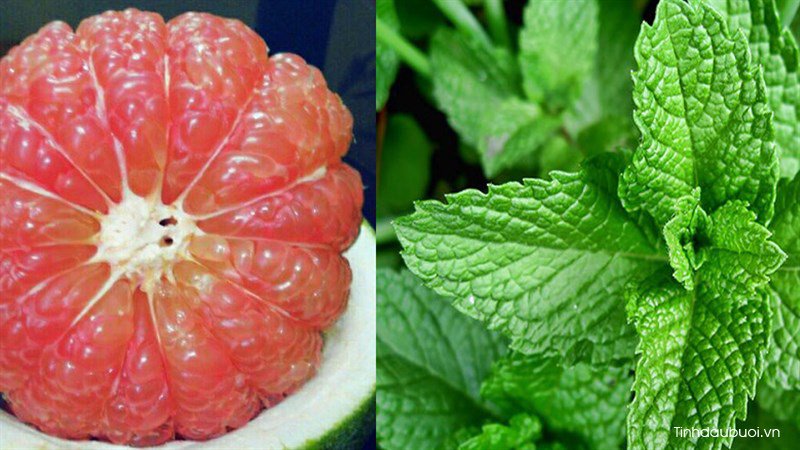 cach lam kem buoi bac ha