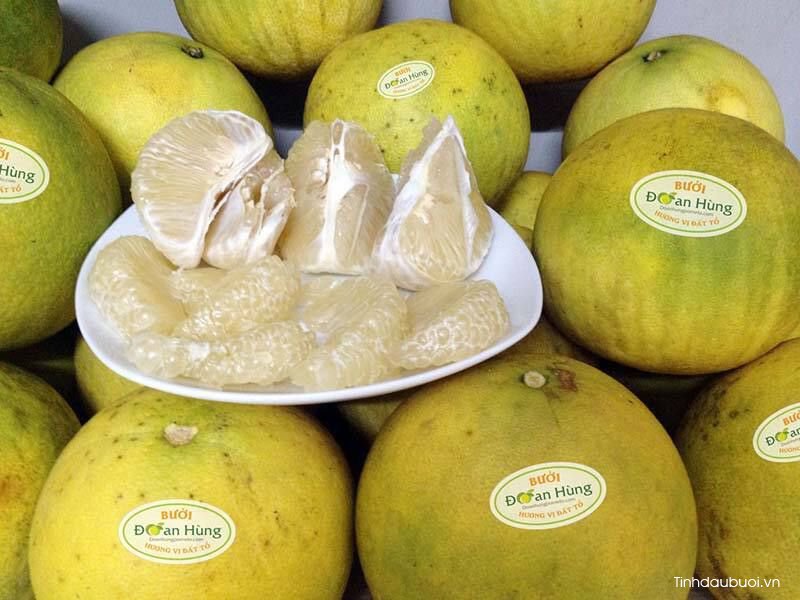 bưởi đoan hùng buoi doan hung