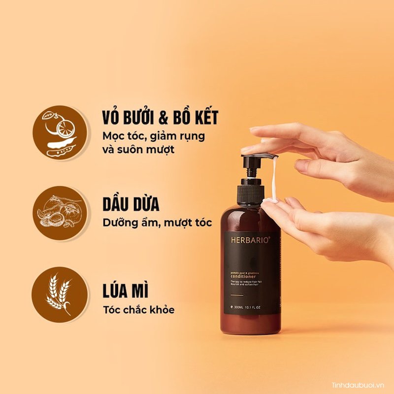 dau xa tinh dau buoi Herbario co tot khong