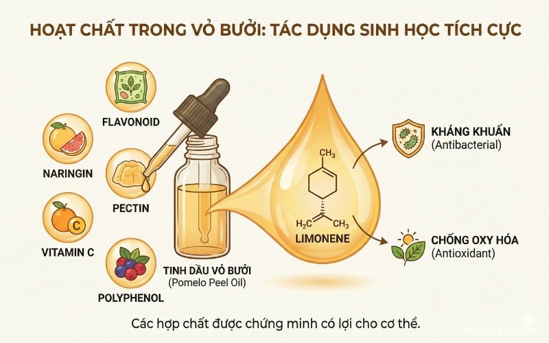 Vo buoi tri rung toc