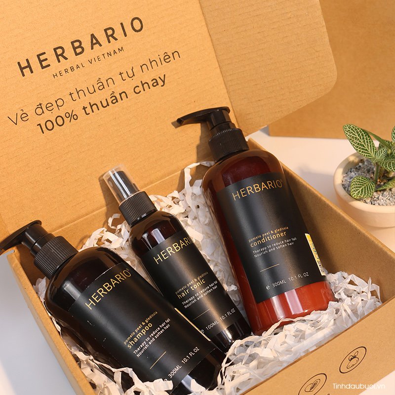 goi-xa-xit vo buoi bo ket herbario