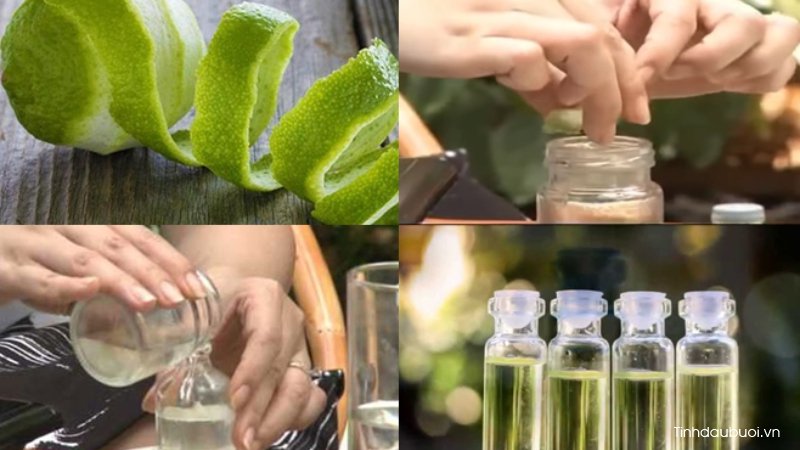 Chiết xuất từ vỏ bưởi chiet xuat tu vo buoi