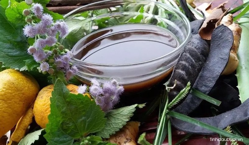 dau goi huu co oganic