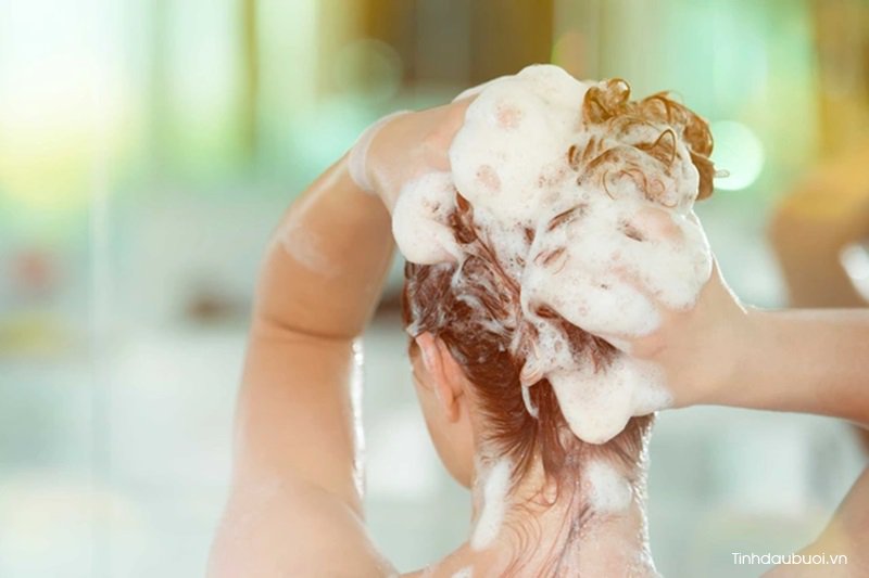 gội đầu đúng cách goi dau dung cach