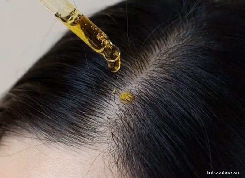 nho dau jojoba len da dau