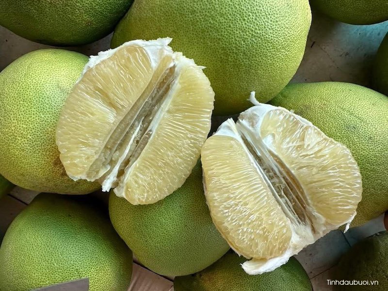 nguon goc giong buoi nam roi
