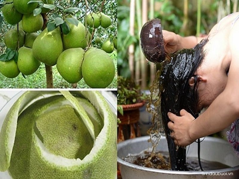 cach su dung tinh dau buoi de kich thich moc toc 