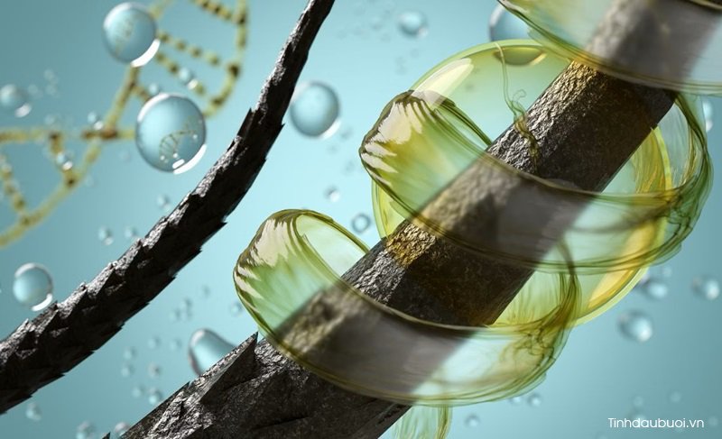 cach tri rung toc bang hat buoi