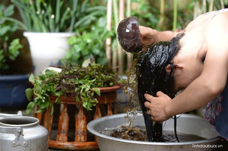 cach tri rung toc bang hat buoi