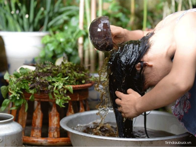 goi dau bang nuoc vo buoi co tot khong