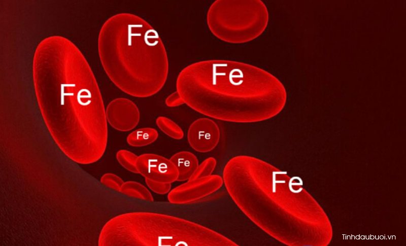 loi ich khi an qua buoi thuong xuyen