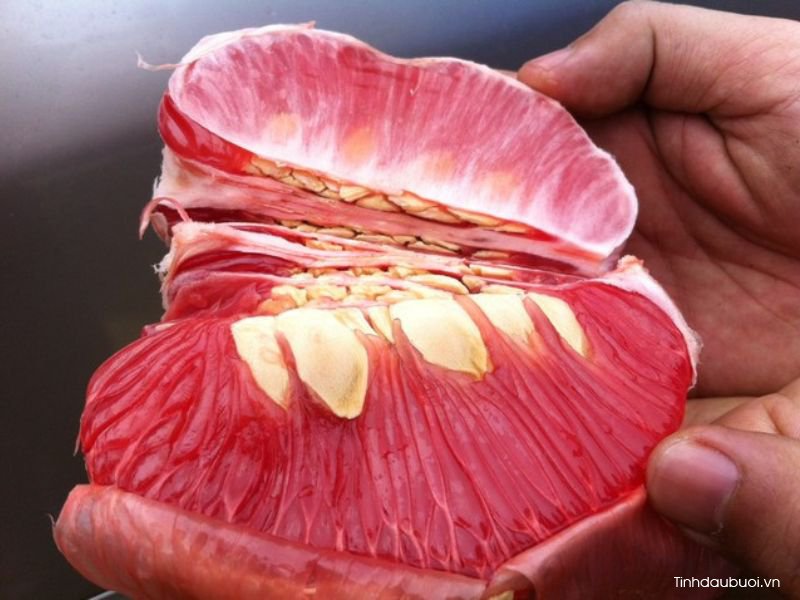 qua buoi mat hay nong