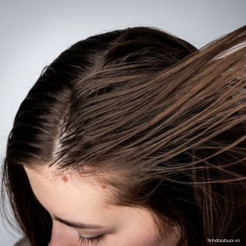 Tinh dầu bưởi có phù hợp với tóc dầu không tinh dau buoi co phu hop voi toc dau khong