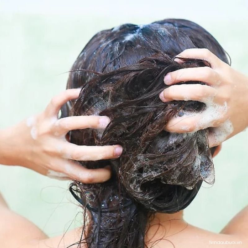 Tinh dầu bưởi có thể kết hợp với dầu gội không tinh dau buoi co the ket hop voi dau goi khong