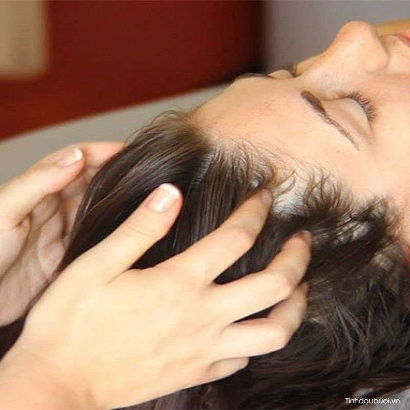 tinh dau buoi nen dung luc nao