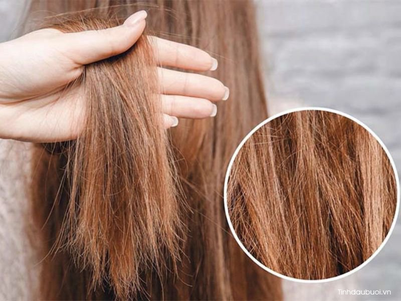 toc kho co nen dung tinh dau buoi 