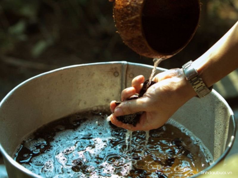 Trị rụng tóc bằng vỏ bưởi tri rung toc bang vo buoi