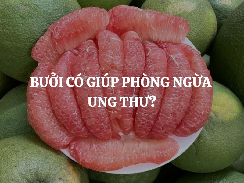 Bưởi có giúp phòng ngừa ung thư không? Lợi ích và cách sử dụng hiệu quả