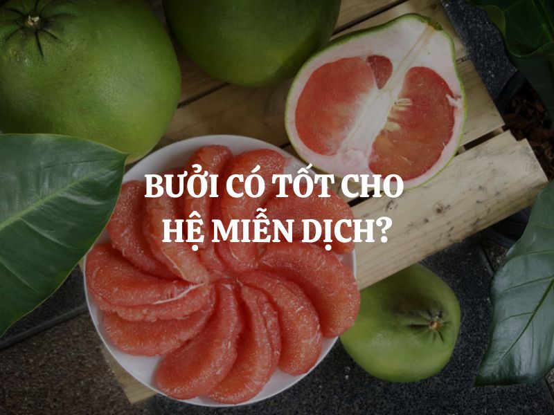 Bưởi có tốt cho hệ miễn dịch không? So sánh với cam, quýt về hiệu quả tăng đề kháng