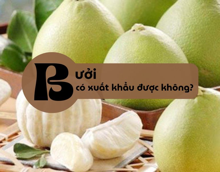 Bưởi có xuất khẩu được không?