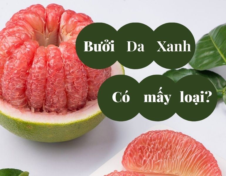 Bưởi da xanh có mấy loại?