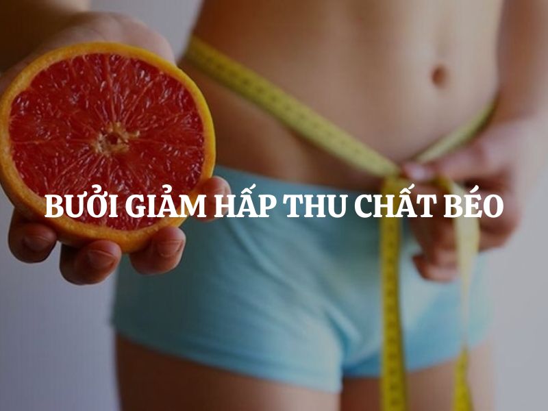 Bưởi giảm hấp thu chất béo có thật không? Cách ăn bưởi để hỗ trợ giảm cân
