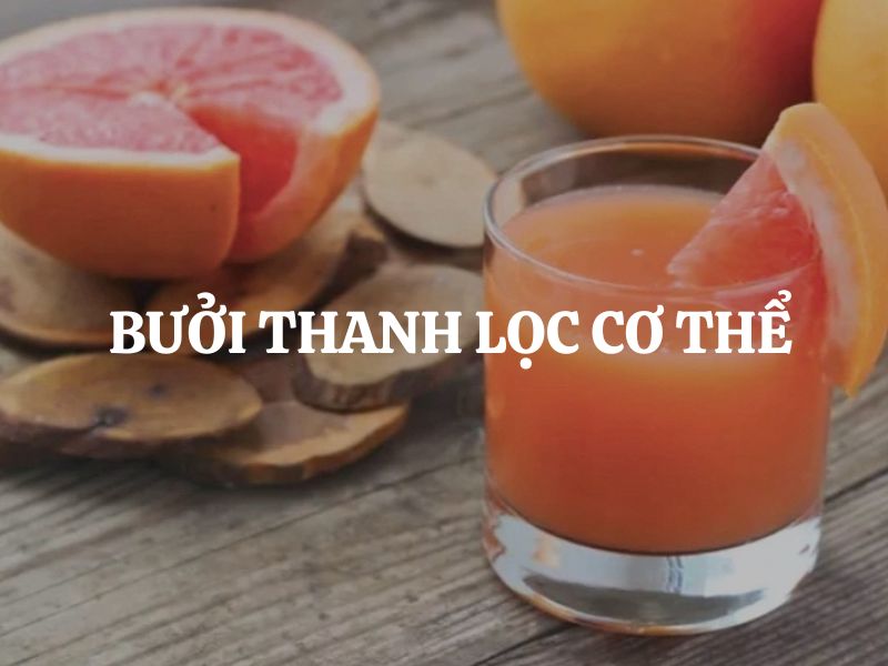Bưởi thanh lọc cơ thể có hiệu quả không? Cách sử dụng đúng để hỗ trợ giải độc tự nhiên