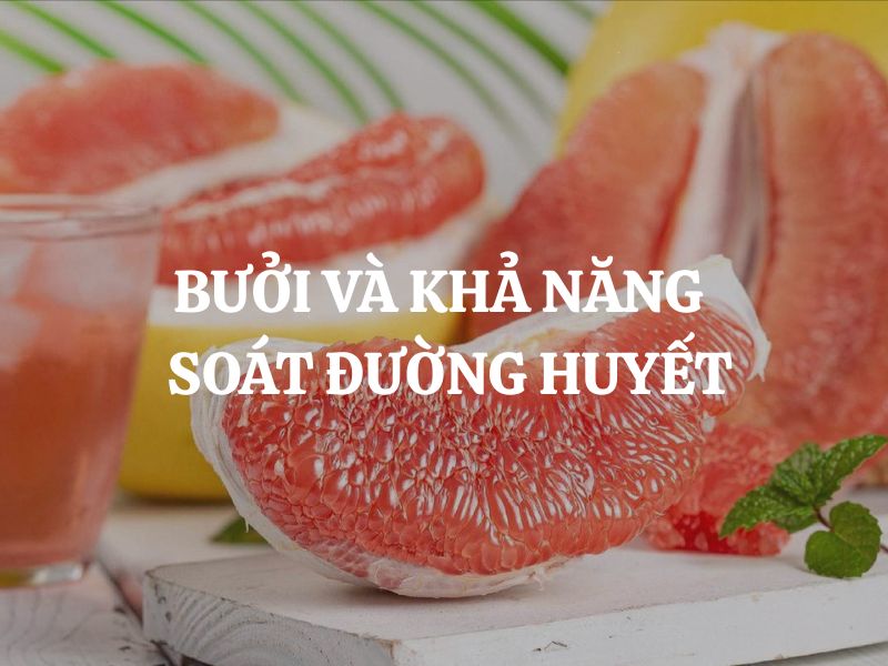 Bưởi và khả năng kiểm soát đường huyết: Giải pháp tự nhiên hỗ trợ sức khỏe hiệu quả