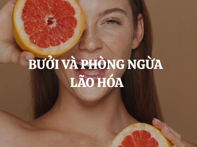Bưởi và phòng ngừa lão hóa: Bí quyết giữ gìn làn da trẻ đẹp từ thiên nhiên