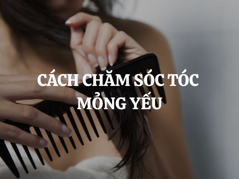 Cách chăm sóc tóc mỏng yếu hiệu quả rõ rệt chỉ sau 30 ngày