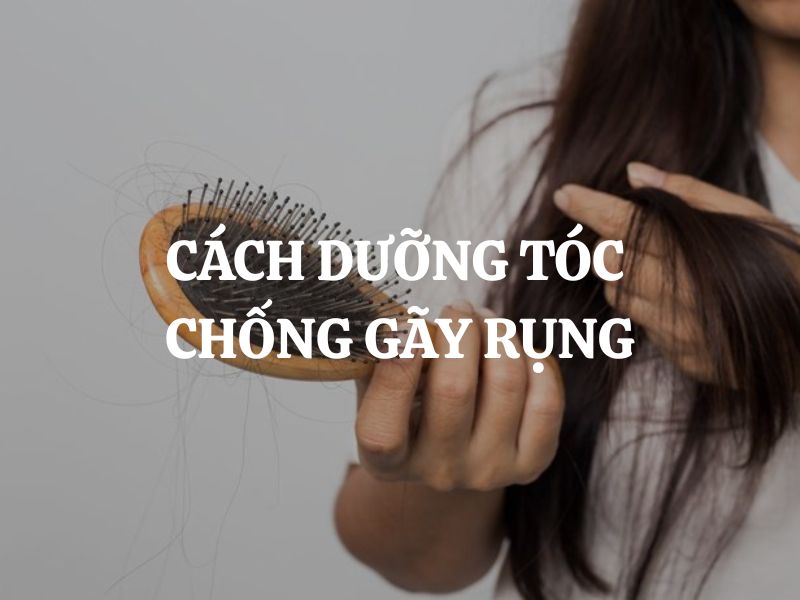 Cách dưỡng tóc chống gãy rụng: Giải pháp toàn diện cho mái tóc chắc khỏe