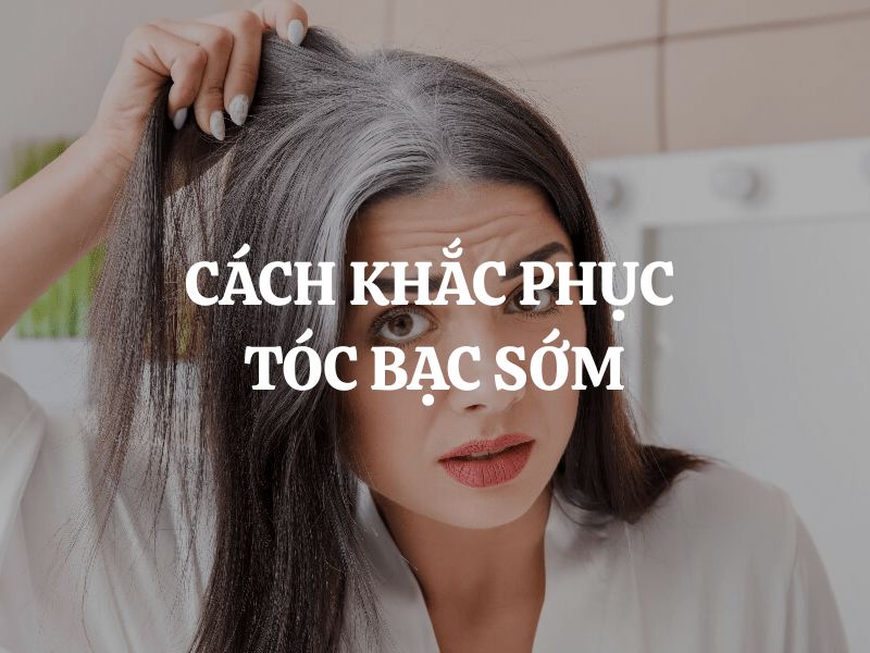 Cách khắc phục tóc bạc sớm tại nhà hiệu quả và bí quyết duy trì mái tóc trẻ trung
