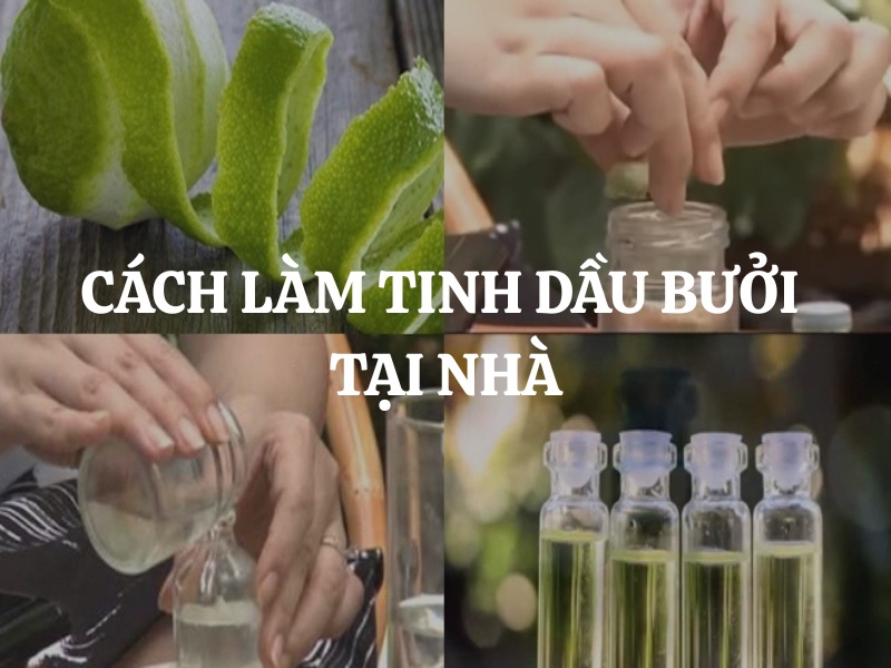 Cách làm tinh dầu bưởi tại nhà đơn giản, nguyên chất và dễ thực hiện