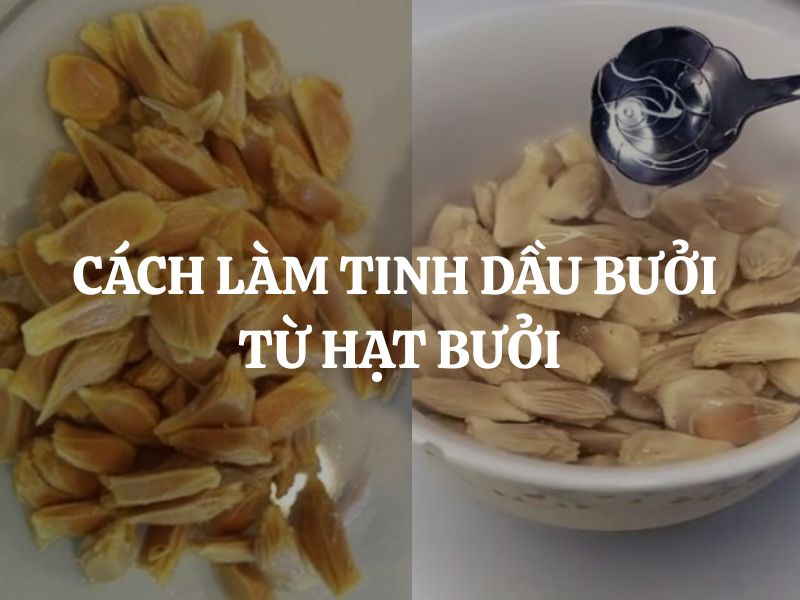 Cách làm tinh dầu bưởi từ hạt bưởi mang lại nhiều lợi ích cho sức khỏe và sắc đẹp