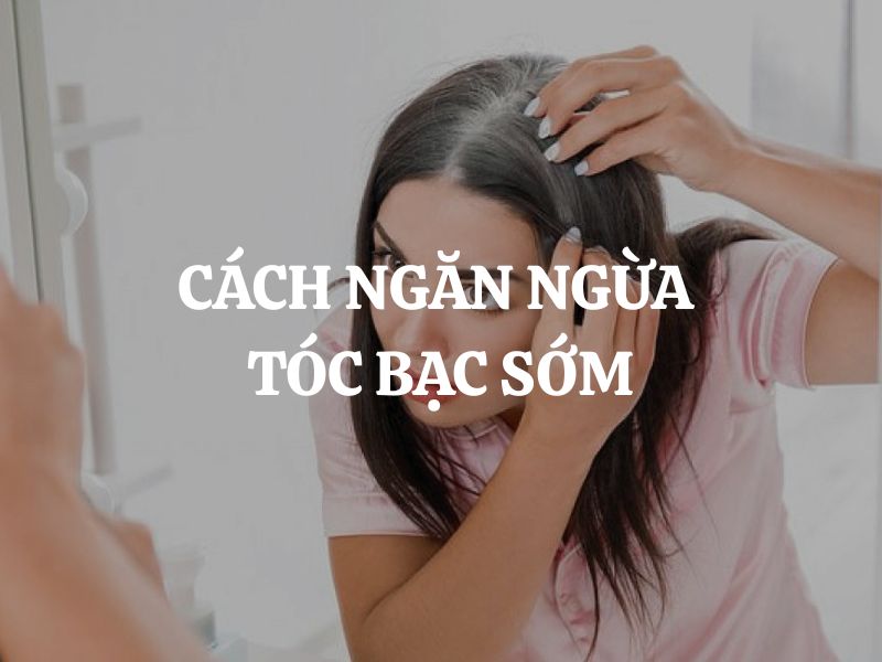 Cách ngăn ngừa tóc bạc sớm: Giải pháp khoa học cho mái tóc trẻ lâu