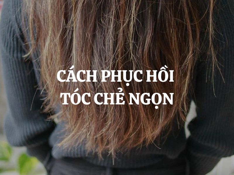 Cách phục hồi tóc chẻ ngọn: Giải pháp chăm sóc tóc hư tổn từ gốc đến ngọn