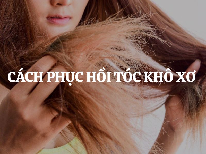 Cách phục hồi tóc khô xơ hiệu quả, nhanh chóng lấy lại mái tóc mềm mượt