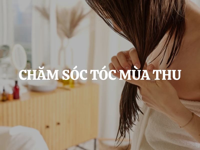 Chăm sóc tóc mùa thu và bí quyết phục hồi tóc gãy rụng