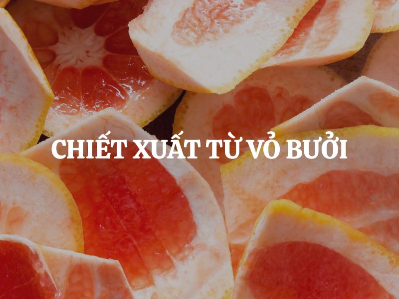 Chiết xuất từ vỏ bưởi - Thành phần thiên nhiên giàu giá trị cho sức khỏe và sắc đẹp Chiết xuất từ vỏ bưởi - Thành phần thiên nhiên giàu giá trị cho sức khỏe và sắc đẹp