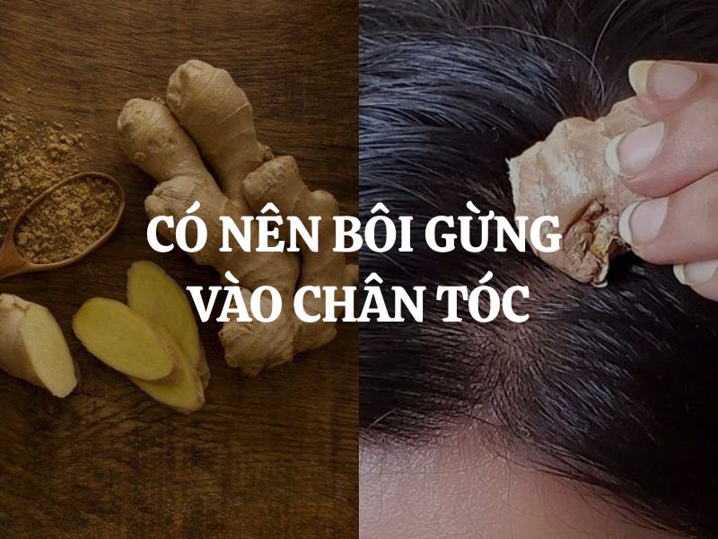 Có nên bôi gừng vào chân tóc? Giải mã hiệu quả thật sự của gừng với da đầu