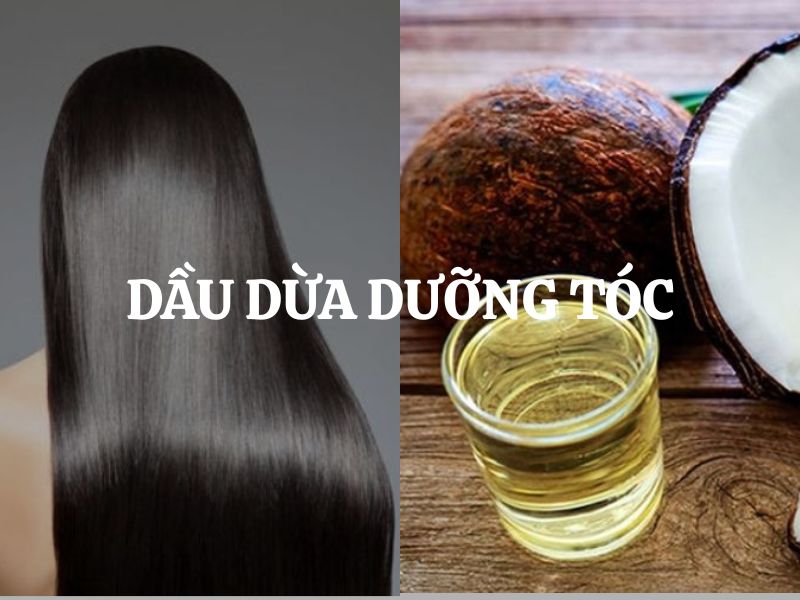 Dầu dừa dưỡng tóc: Bí quyết phục hồi và nuôi dưỡng mái tóc chắc khỏe
