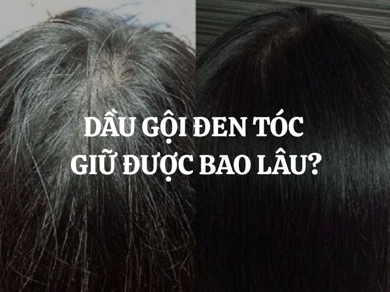 Dầu gội đen tóc giữ được bao lâu? Bí quyết giúp mái tóc đen bền màu