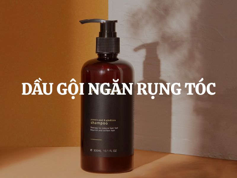 Dầu gội ngăn rụng tóc loại nào tốt, đáng mua nhất hiện nay?