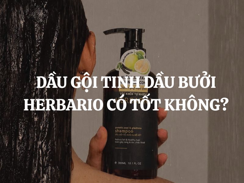 Dầu gội tinh dầu bưởi Herbario có tốt không? Giải đáp chi tiết